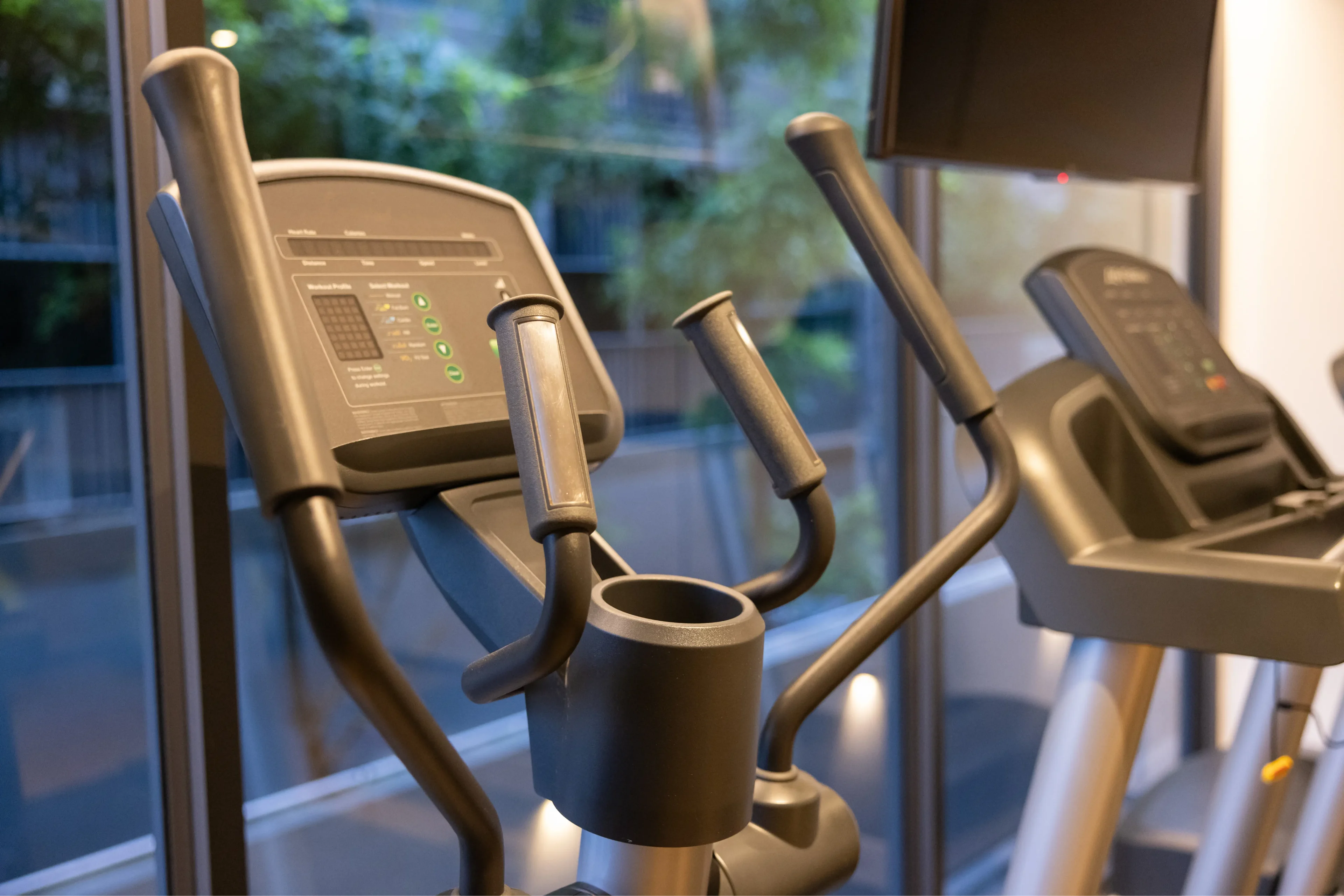 Elliptical machines in a gym near windows.